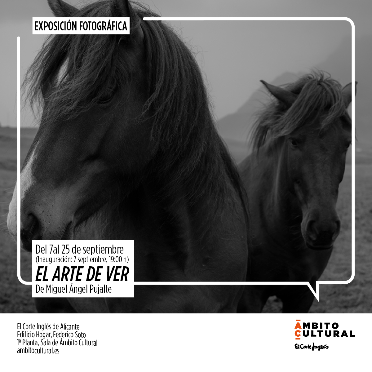 Exposición fotografía “El arte de ver” de Miguel Ángel Pujalte